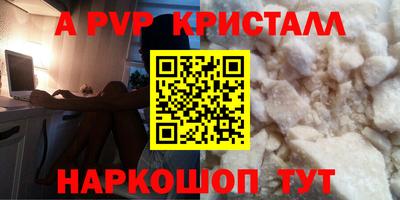 стафф Будённовск